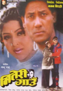Miteri Gau poster