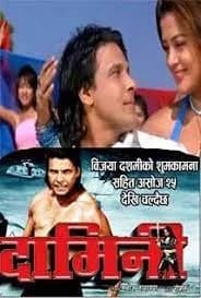 Damini poster